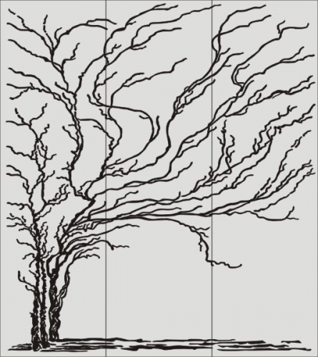 Derev-46