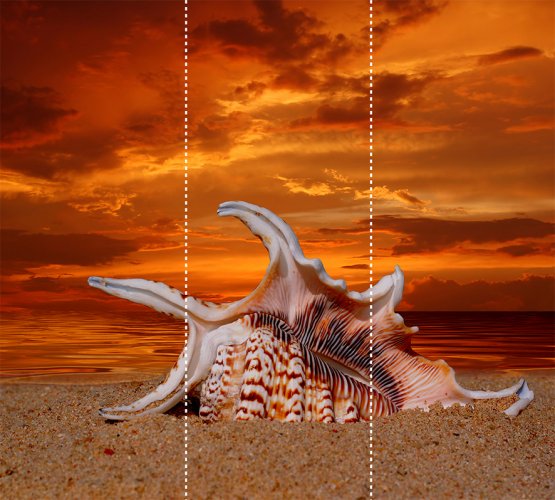 RAC-5