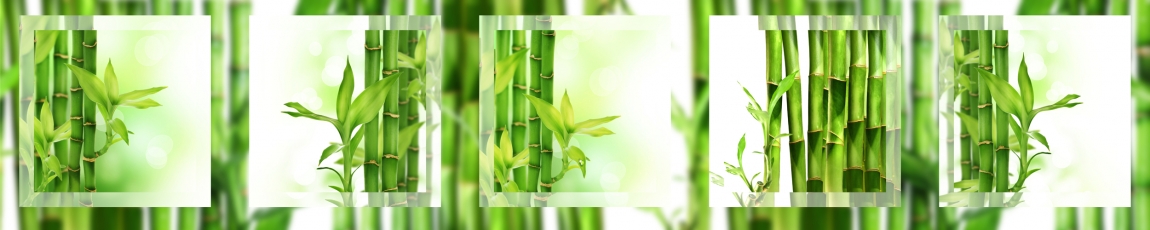 skinali-4919