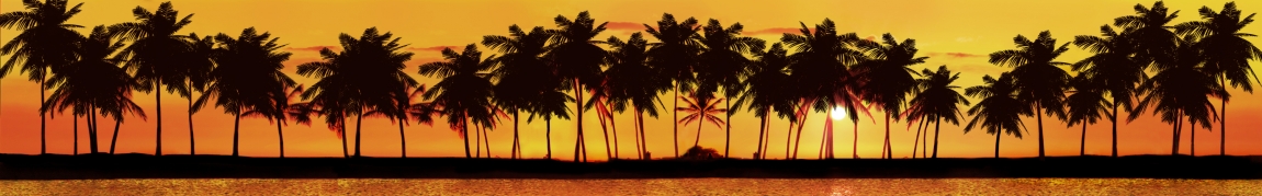 skinali-5197