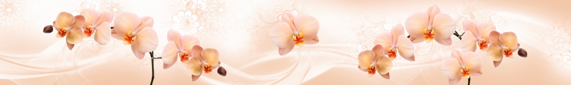 skinali-4176