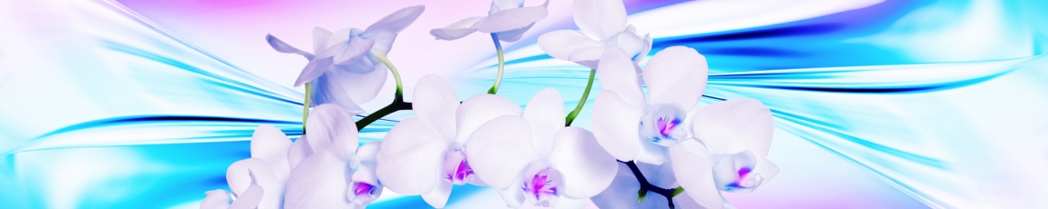 skinali-4294