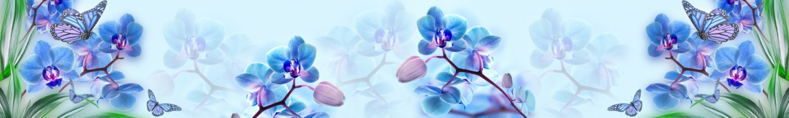 skinali-4397