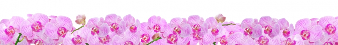 skinali-4945