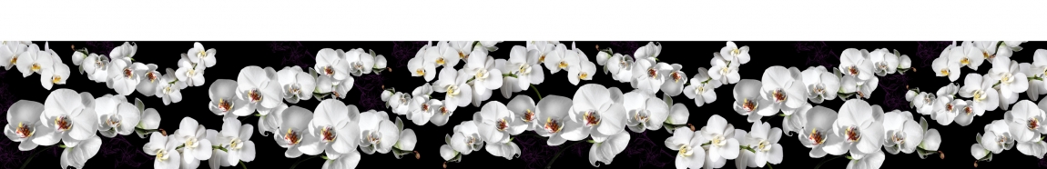skinali-4955