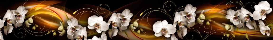 skinali-5016