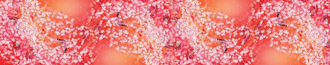 skinali-4253