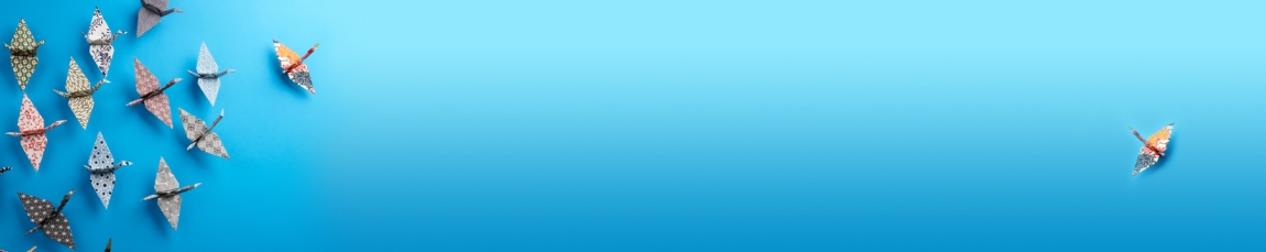 skinali-4631