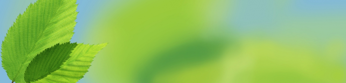 skinali-5324