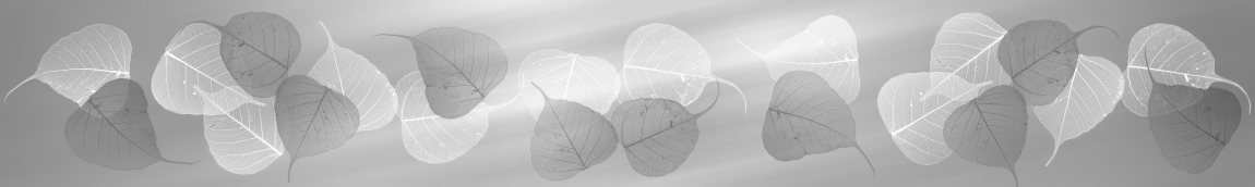 skinali-4098