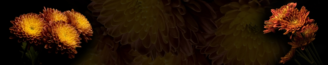 skinali-4123