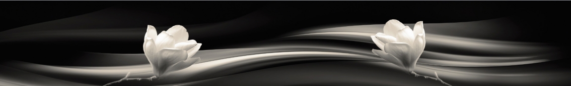 skinali-4478