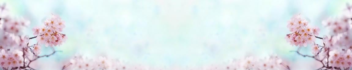 skinali-4776