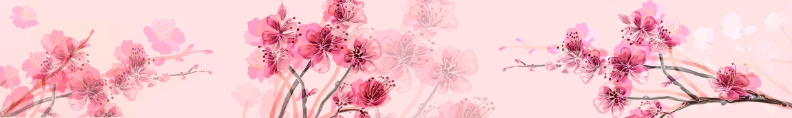 skinali-5521