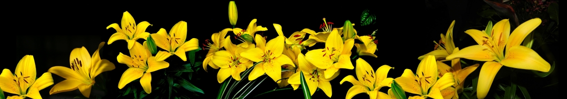 skinali-5635