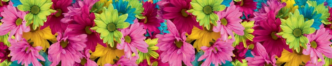 skinali-5673